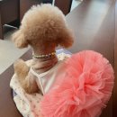 와이즈랩 이미지