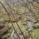 이재수한의원 이미지