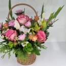 청안원예협동조합 이미지