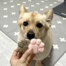 위빙유