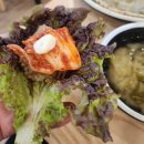 경기 이천 양지 보쌈 맛집 &#34;대덕골 보쌈 &amp; 칼국수&#34;