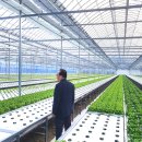 김재철농장 이미지