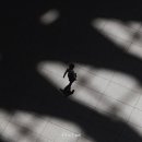희야 - 평택시 특구로23번길 19 | 희야