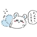 모몽가