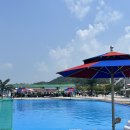 용진목장 이미지