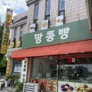 백산로 | [구미] 여행 갈 때 최고~ 구미땅콩빵 '구수한땅콩빵 본점' 솔직 후기