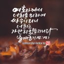 가만히 있을지니라 이미지