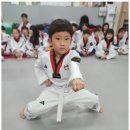 삼각태권도 이미지