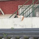 광주향교 | 광주근교드라이브 코스 추천! 전남 나주향교 배롱나무와 서성문 골목 산책여행 다녀왔어요