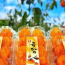 서기농장 이미지