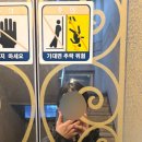 (상반기)발레핏 이미지