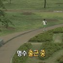 [여수] 혼여행러들 위한 혼밥 가능한 식당 &amp;이순신 광장 포장 맛집