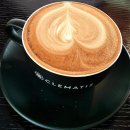 황태랑버섯 이미지