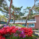 용문산 둥지 이미지