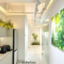 딱이야 오피스 이미지