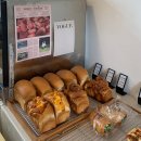 꼬솜(kkosom) 이미지