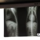 오주동물병원 이미지