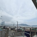 송도용궁구름다리 | 부산 송도 가볼만한 곳 [송도 용궁구름다리] 스카이워크 1,000원 체험 가능
