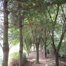 배다리공원 이미지