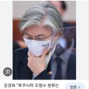 문정권 외교부장관 강경화는 어때요? 이미지