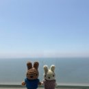 만물백화점 기장 | 2025 부산4: 부산역근처 (18번완당집, 보수동책방골목, 베스킨라빈스100, 은하갈비)