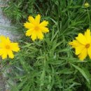 노을감자탕 이미지