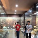 목포자연사박물관 이미지