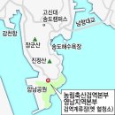 노른자위 이미지