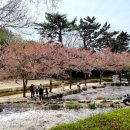 화동못 수변공원 이미지