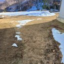 새봄농장(3) 이미지