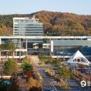 성남면작은도서관 이미지