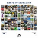 올림푸스 매일경제