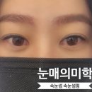 눈매의미학