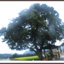 박곡보건진료소 이미지