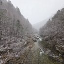 (주)설경 이미지