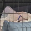 조규만외과동물병원 이미지