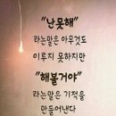 감천 Daum카페