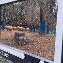 소래목장 이미지