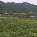 한율이네 농장 이미지