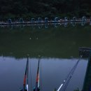 안골 낚시터 | 울산 범서 구영리 안골낚시터 6월 17일 짬낚