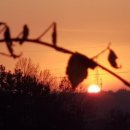 노을농장 이미지