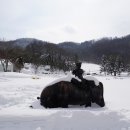 하늘목장 이미지