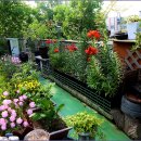 하늘정원 이미지