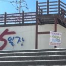 정선아기동물농장 이미지