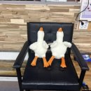 풀코스당구장 이미지