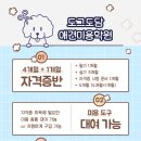 도담애견 이미지