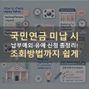 정선군보건소 | 국민연금 미납 시 납부예외·유예 신청 총정리! 조회방법까지 쉽게