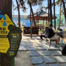 도시숲 산책길 이미지