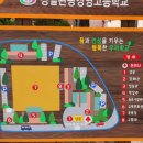 우드앤사인 이미지