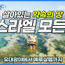 세계테마 기행 - 역사의 땅 이스라엘 탐방기┃예루살렘┃갈릴리 이미지